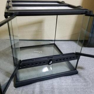 【取引中】GEXグラステラリウム3030   爬虫類 ガラスケージの画像