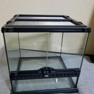 【取引中】GEXグラステラリウム3030   爬虫類 ガラスケージの画像