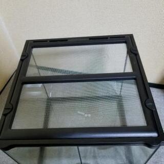 【取引中】GEXグラステラリウム3030   爬虫類 ガラスケージの画像