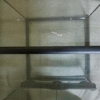 【取引中】GEXグラステラリウム3030   爬虫類 ガラスケージの画像