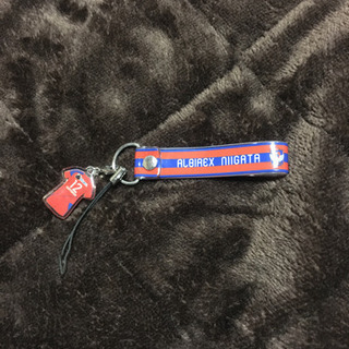 アルビレックス新潟　グッズの画像