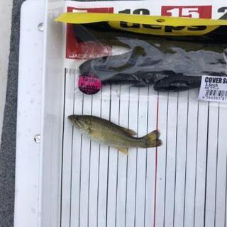 長野県バス釣り同好会 - 北松本