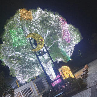 こんばんは～✩.*˚