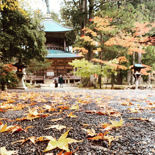 天空の都市　高野山⛰ - 伊都郡