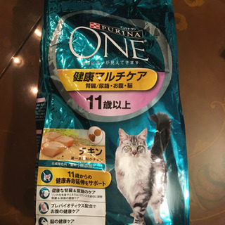 猫の餌［決まりました］