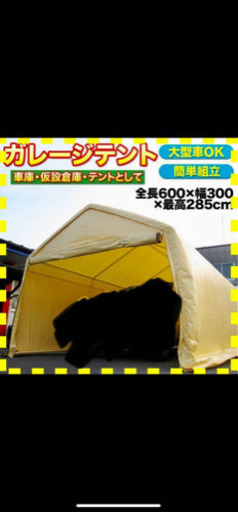 決まりました！7月4日引き取り決まり