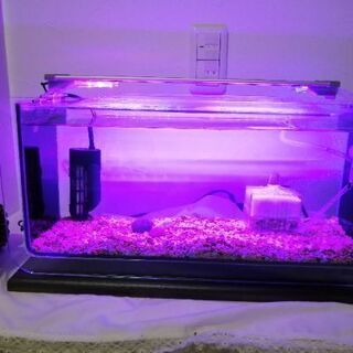 コトブキ　ARK500  水槽とLEDなどフルセットの画像