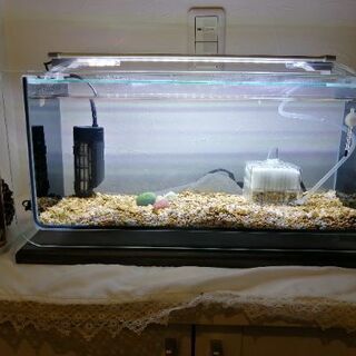 コトブキ　ARK500  水槽とLEDなどフルセットの画像