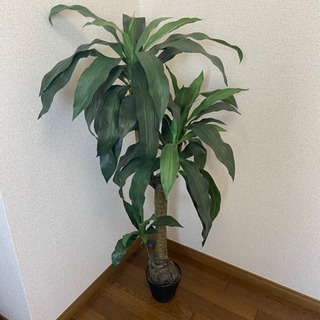 造花　観葉植物　