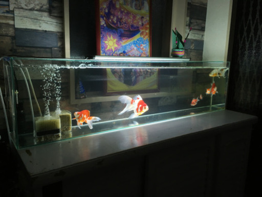 1200.300.200 オールガラス水槽