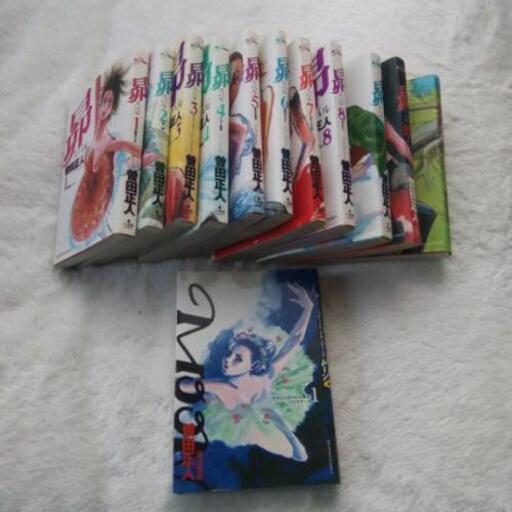 漫画　コミックス　『昴』