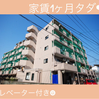 減額❗️初期費用３万🉐敷礼ゼロ💓1ヶ月家賃タダ💓分譲賃貸