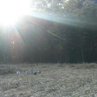 １日4時間程度、草刈り機持参で草刈り可能な方を募集。「作業用に新型コロナウィルスを99.9%不活性化するマスクを支給いたします。」の画像