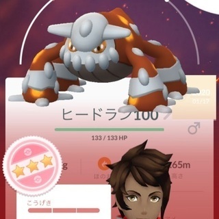 ポケモントレーナー - 岡崎市