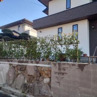 造園・外構「見習い、中習い、職人募集！」の画像