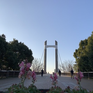 江東区限定！朝ラン一緒にしませんか？【随時募集】