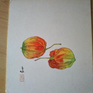 色紙　ほおずき　鬼灯