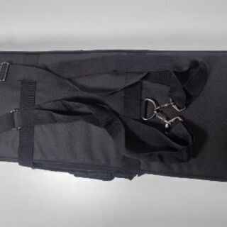 三線セミハードケース（2挺入れ）