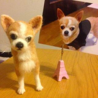 ★羊毛フェルトで愛犬を制作！板橋区練馬区