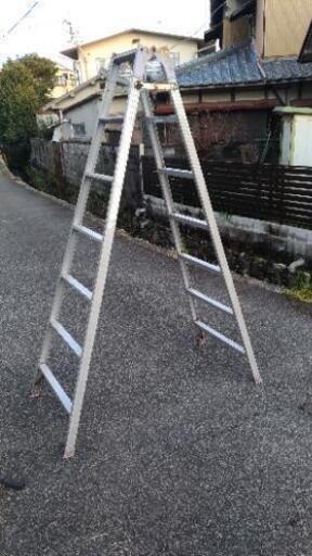 （受渡者決定）脚立（7段）
