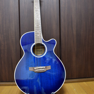 TAKAMINE PTU121C