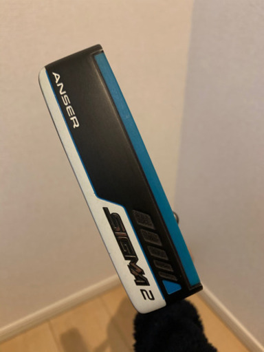 PING SIGMA2 ANSER ステルス仕上げ 長さ調整機能付き