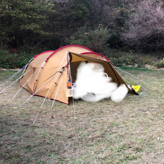 中古美品 スノーピーク ヴォールト