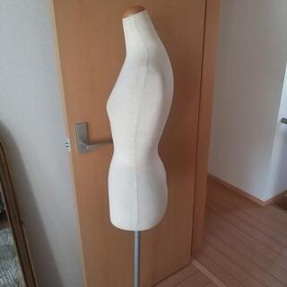 【お譲り先決定しました】トルソーの画像