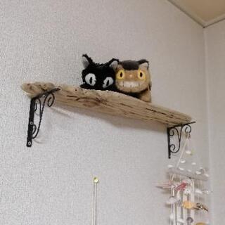 板状の流木(飾り棚などに)