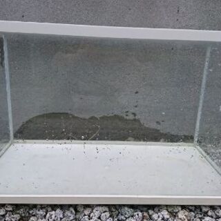 60センチ水槽 飼育セット