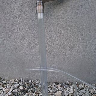 60センチ水槽 飼育セットの画像