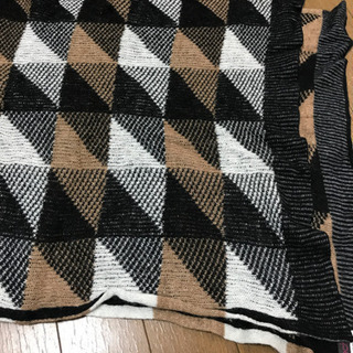 【綺麗なお品】echo のマフラー