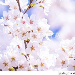 ゆとりをもって働ける事務職募集！３