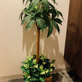 【取引者決定】フェイクグリーン