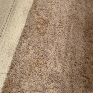モモナチュラル　ラグの画像