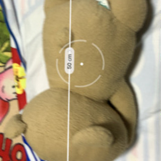 テッドぬいぐるみ