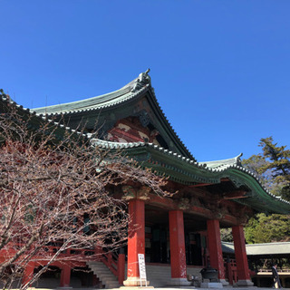 国際交流 GLOBALサークル 