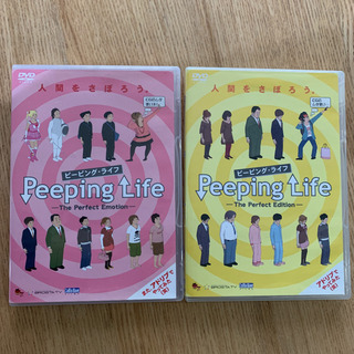 ピーピングライフDVD