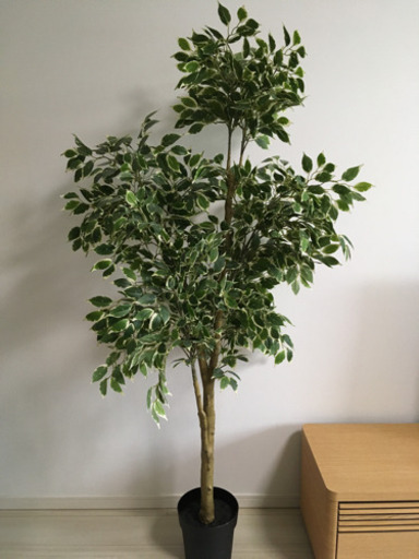 IKEA FEJKA フェイクグリーン