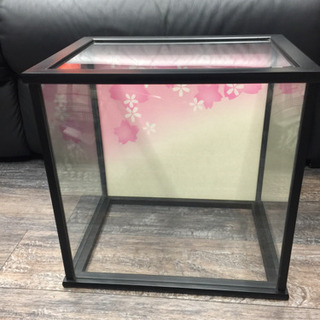 人形ケース8号 桜柄 はめ込み型 完成品