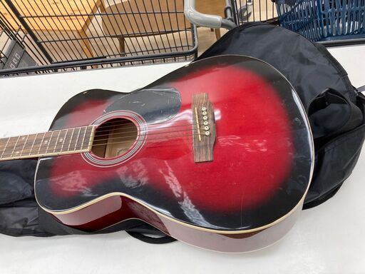 Vanguard VFG-01 RDS アコースティックギター