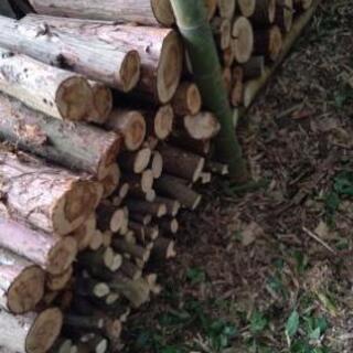 好評でした❗️第3段❗原木❗️薪にどうですか⁉️