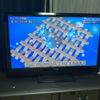 TOSHIBA   REGZA