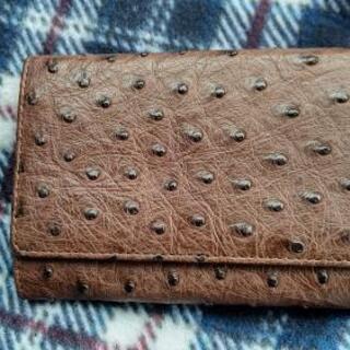特別値引き中‼️国産品オーストリッチ財布👛です✨✨