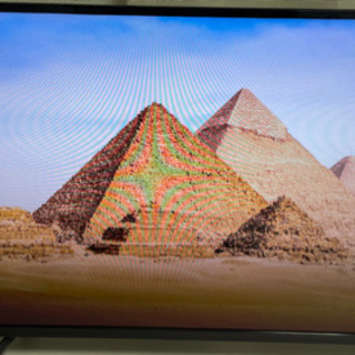 山善　40v Wチューナーテレビ　QRC-40W2KHDD