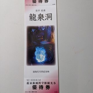 岩手県岩泉町龍泉洞優待券