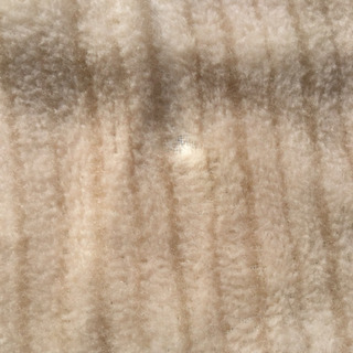 暖かいボアシーツ☆ピエールバルマンの画像