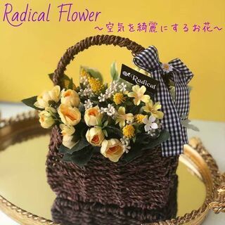 花業界初‼️空気をキレイにする話題のお花🌸ラジカルフラワー体験レッスン