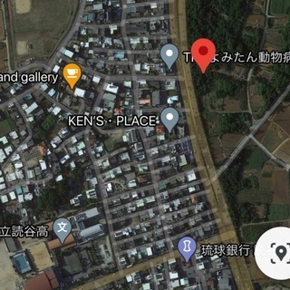 読谷村伊良皆５８号線沿い(軍用地) - 中頭郡