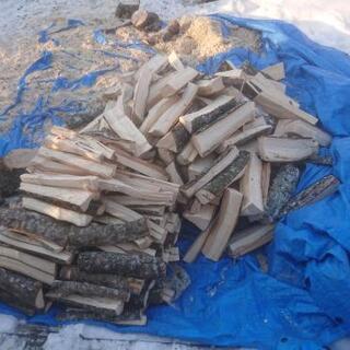 未乾燥薪 薪 約1125kg イタヤ ヤチダモの画像
